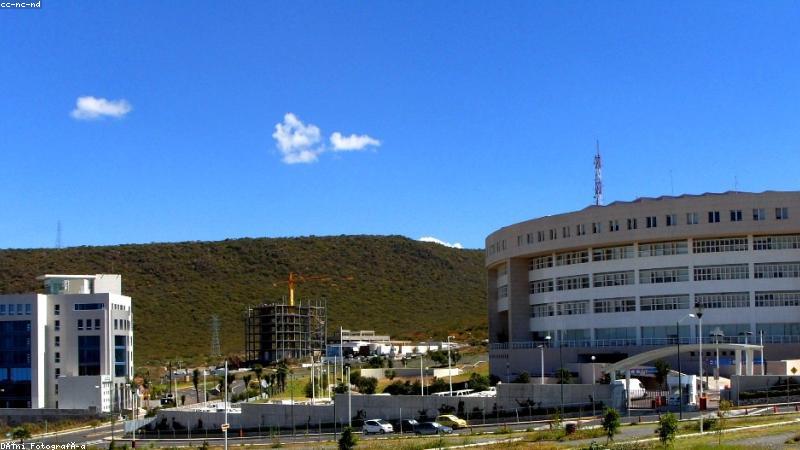 磁力狗永久入口首屏展示高效磁力搜索界面